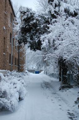 Snowy Alley